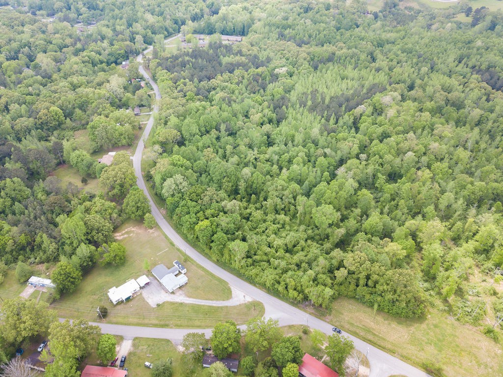 876 Flatwoods Road Camden, TN 38320 - Photo 14 of 47 a view of a yard with plants