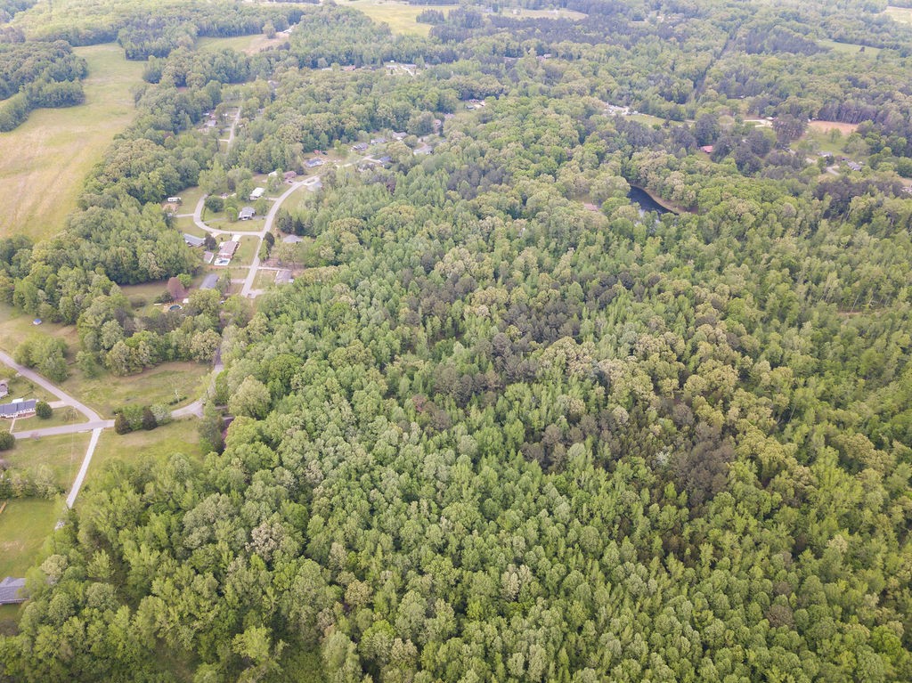 876 Flatwoods Road Camden, TN 38320 - Photo 27 of 47 a close up of a plant