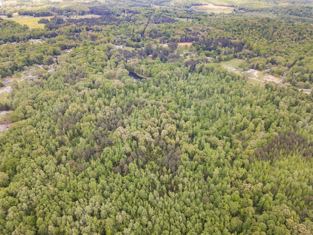 876 Flatwoods Road Camden, TN 38320 - Photo 28 of 47 a view of a field