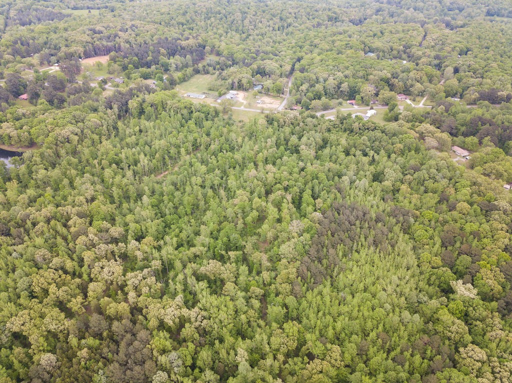876 Flatwoods Road Camden, TN 38320 - Photo 31 of 47 a view of a big yard with plants and wooden floor