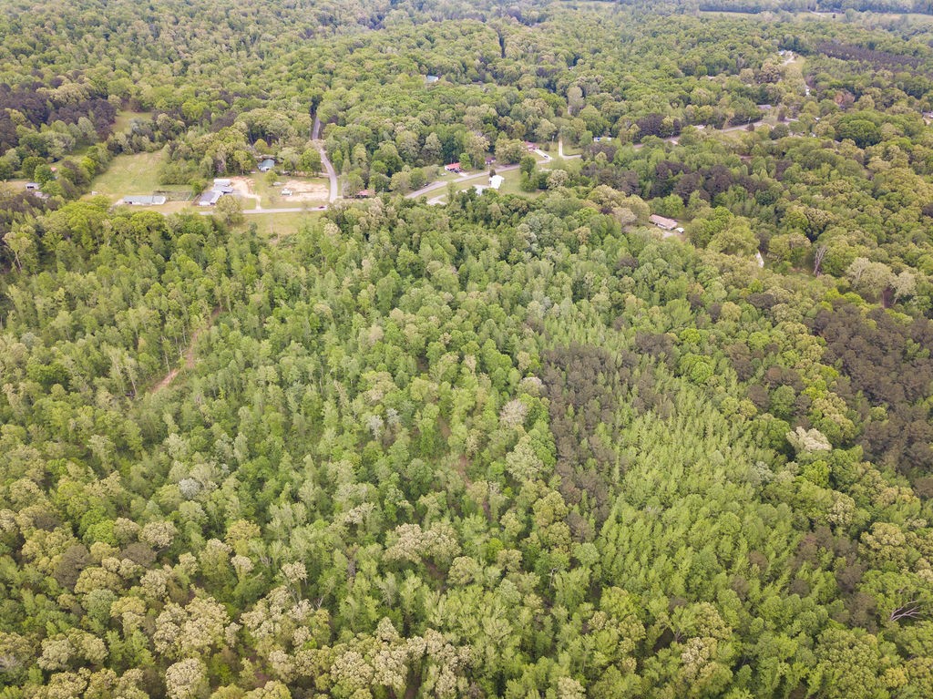 876 Flatwoods Road Camden, TN 38320 - Photo 32 of 47 a view of a bunch of trees and bushes