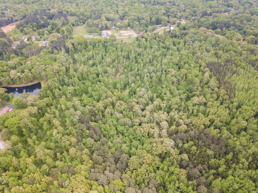 876 Flatwoods Road Camden, TN 38320 - Photo 33 of 47 a close up of a plant