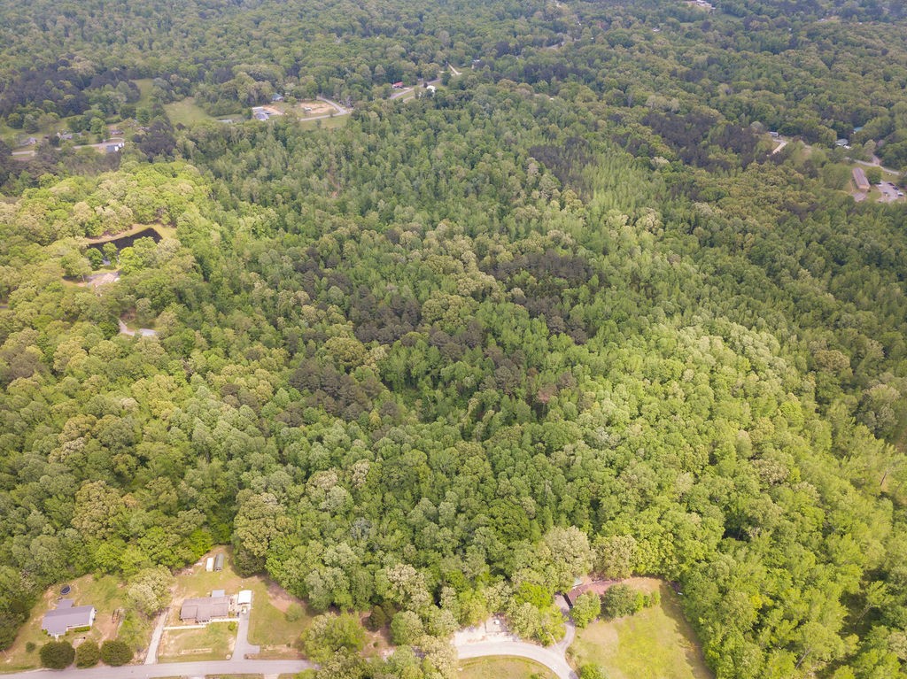 876 Flatwoods Road Camden, TN 38320 - Photo 34 of 47 a view of a yard with plants and wooden bench