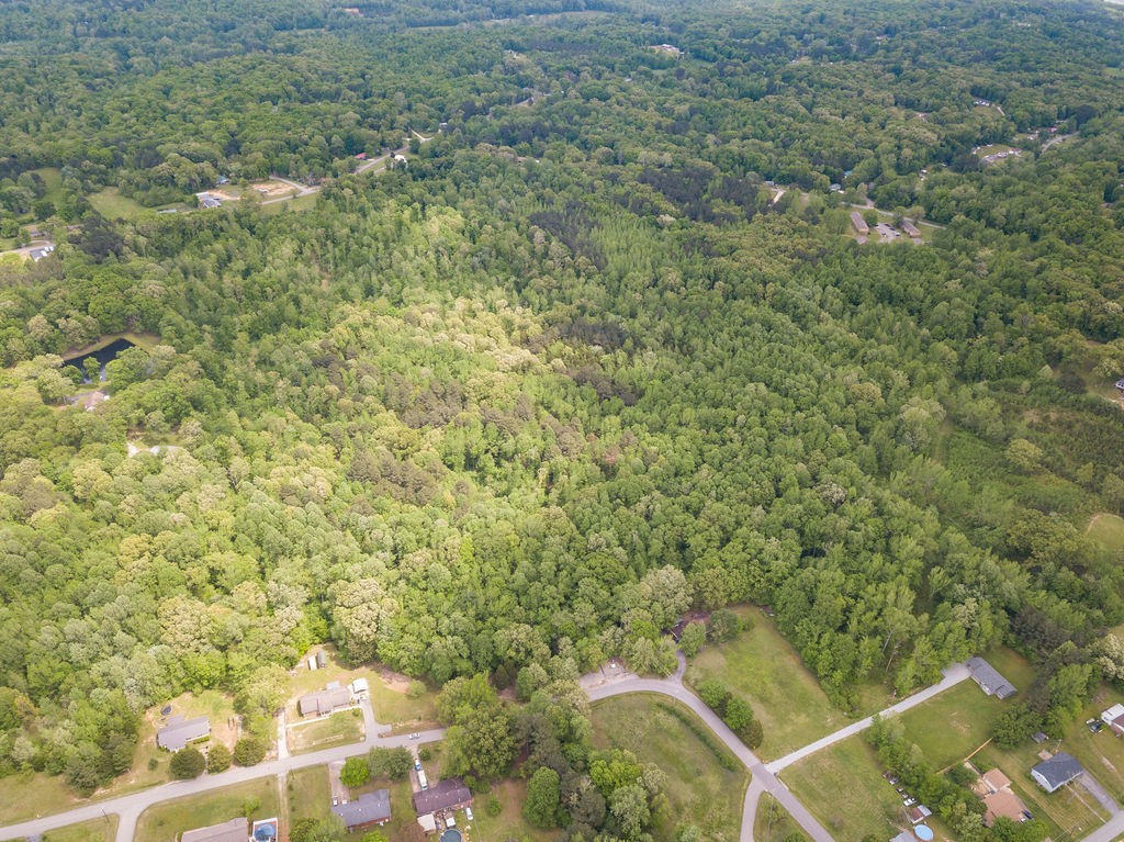 876 Flatwoods Road Camden, TN 38320 - Photo 35 of 47 a view of a yard with a tree