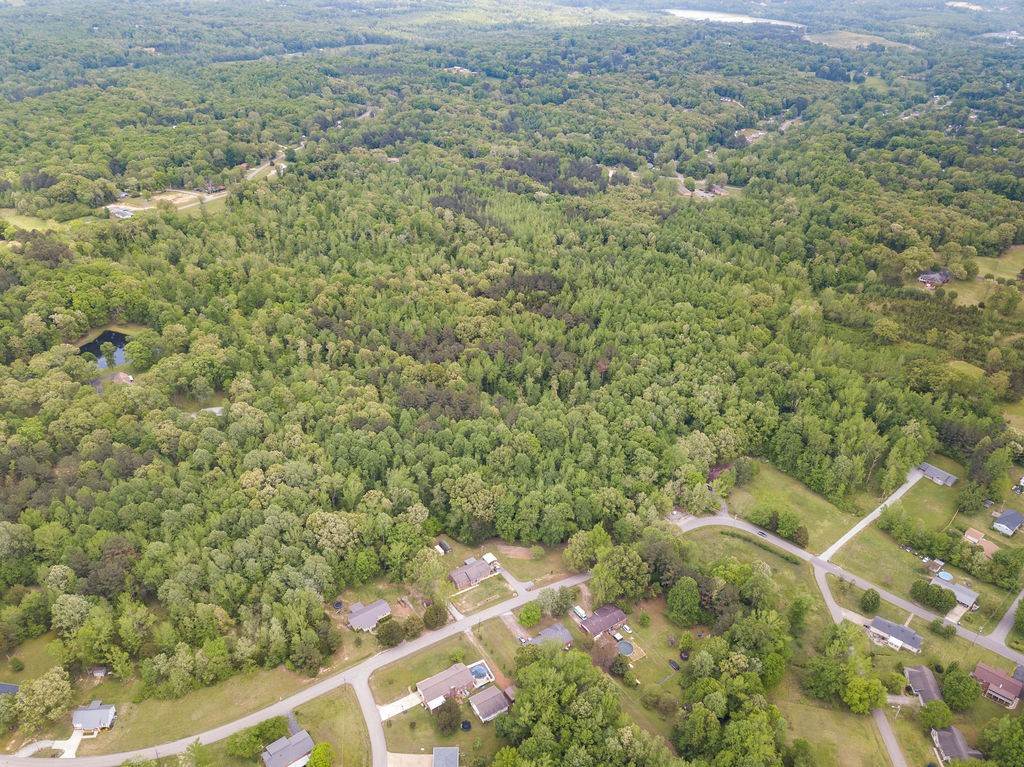 876 Flatwoods Road Camden, TN 38320 - Photo 39 of 47 a view of a field with plants