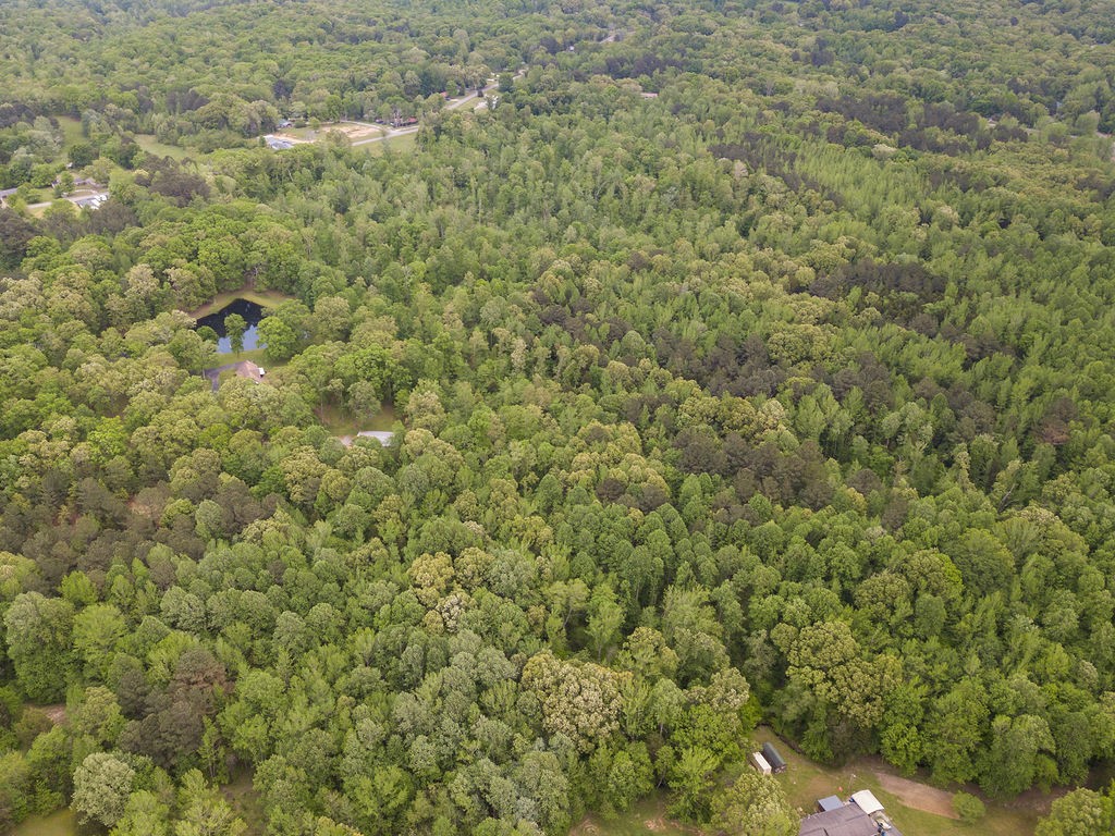 876 Flatwoods Road Camden, TN 38320 - Photo 42 of 47 a view of a dry yard with large trees