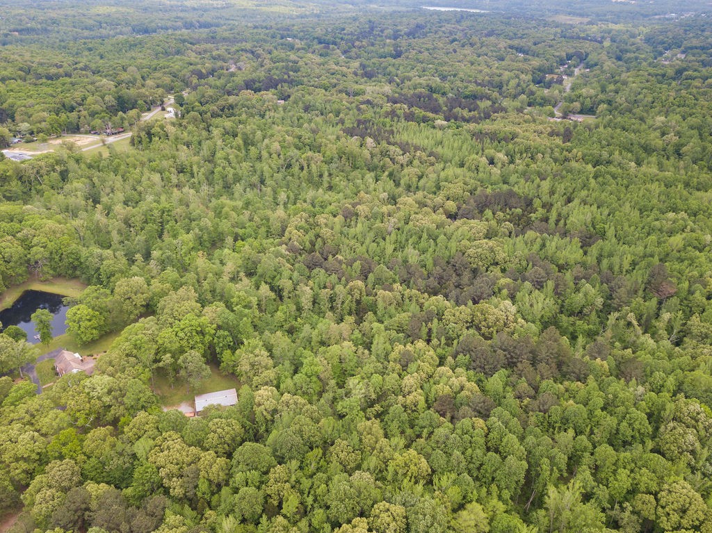 876 Flatwoods Road Camden, TN 38320 - Photo 43 of 47 a view of a big yard with lots of bushes