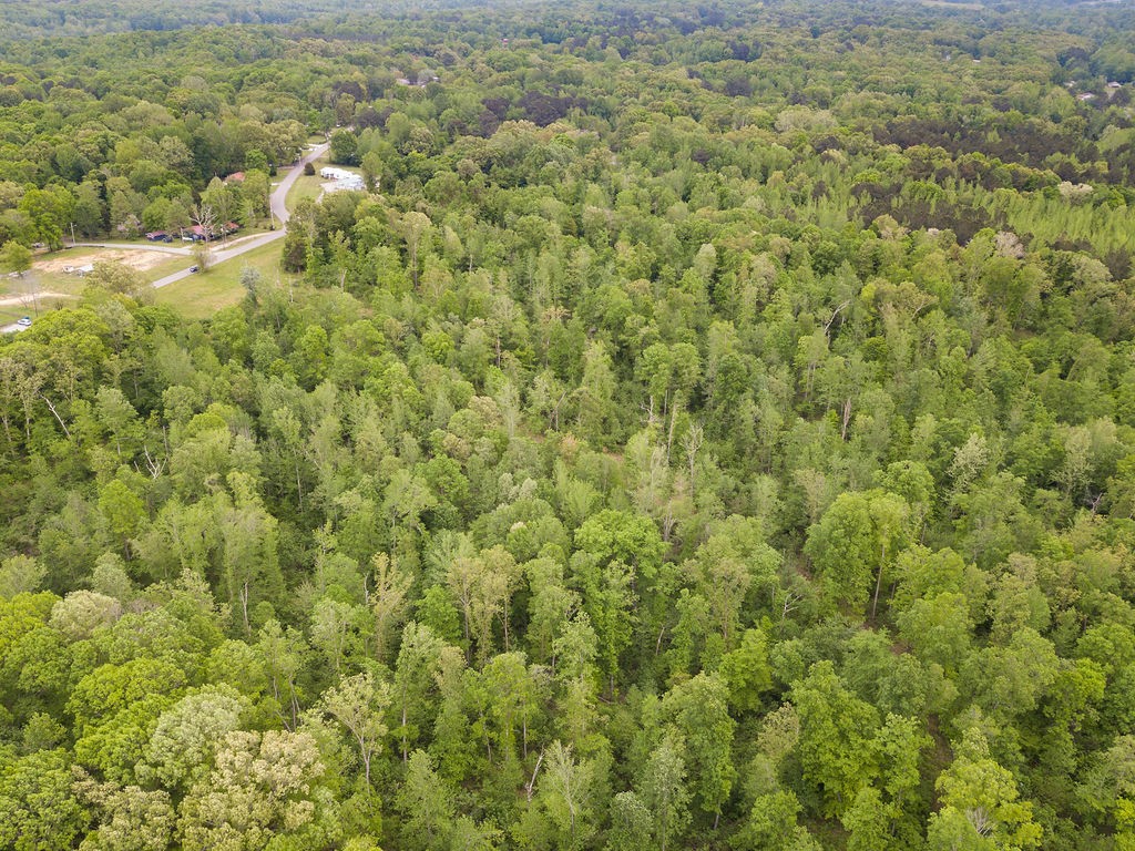 876 Flatwoods Road Camden, TN 38320 - Photo 44 of 47 a view of a bunch of trees and bushes