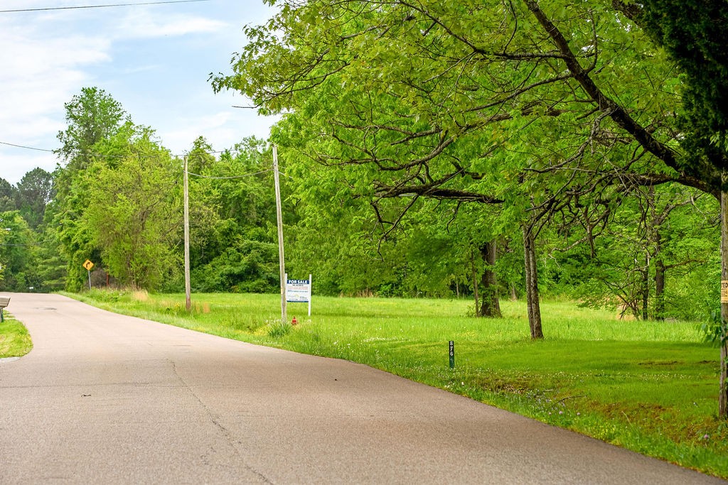 876 Flatwoods Road Camden, TN 38320 - Photo 45 of 47 a view of a park with large trees