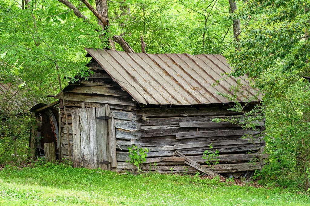 876 Flatwoods Road Camden, TN 38320 - Photo 47 of 47 a view of backyard with green space