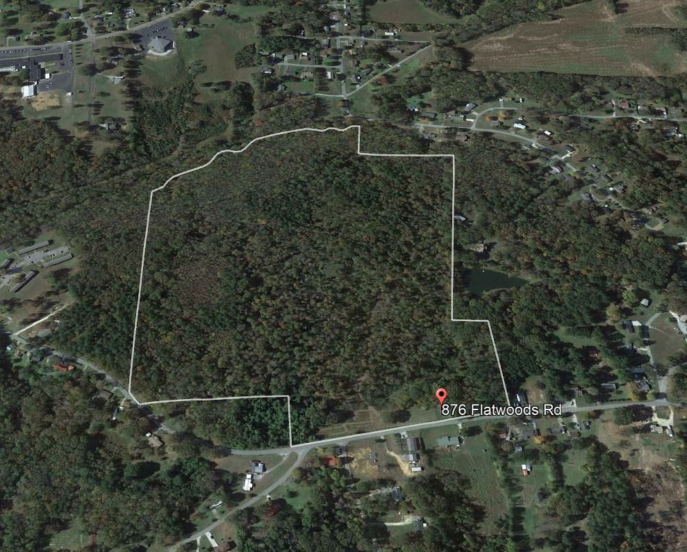 876 Flatwoods Road Camden, TN 38320 - Photo 5 of 47 a view of bathroom with green trees and shower