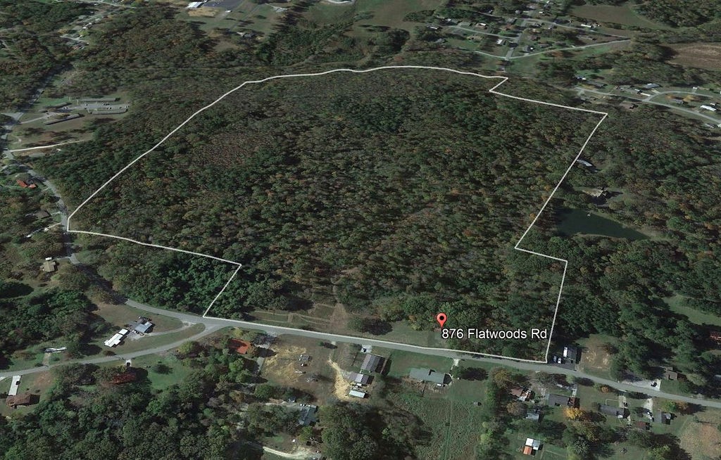 876 Flatwoods Road Camden, TN 38320 - Photo 6 of 47 a view of a yard with iron fence