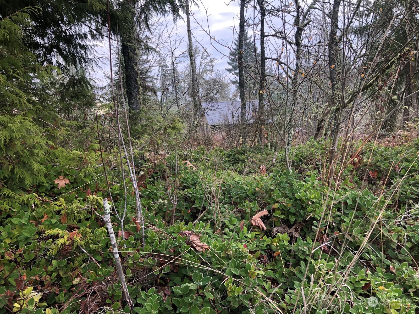 30800 Orville Road East Graham, WA 98338 - Photo 1 of 4 Gallery Image 1