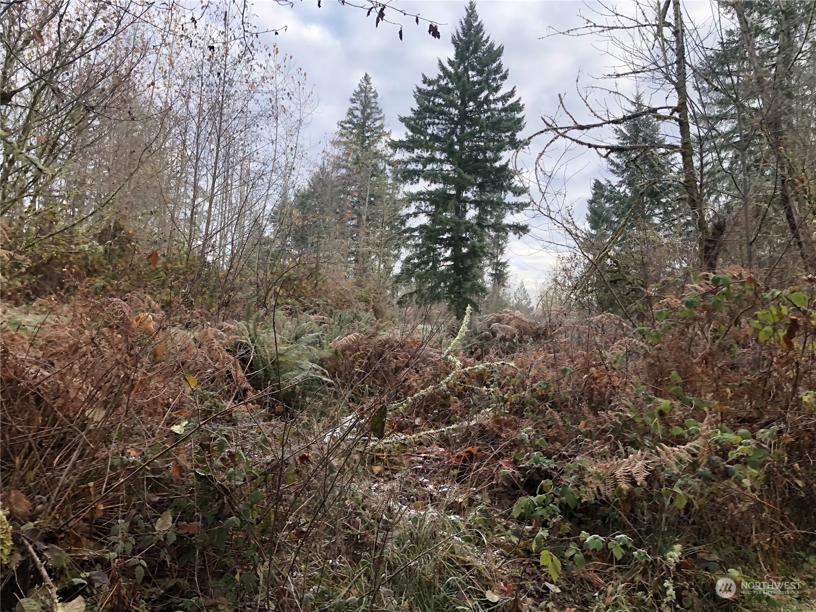 30800 Orville Road East Graham, WA 98338 - Photo 2 of 4 Gallery Image 2