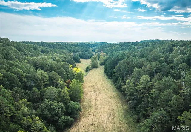 $1,350,000 | 10110 Ashley Creek Road, Salem, MO 65560