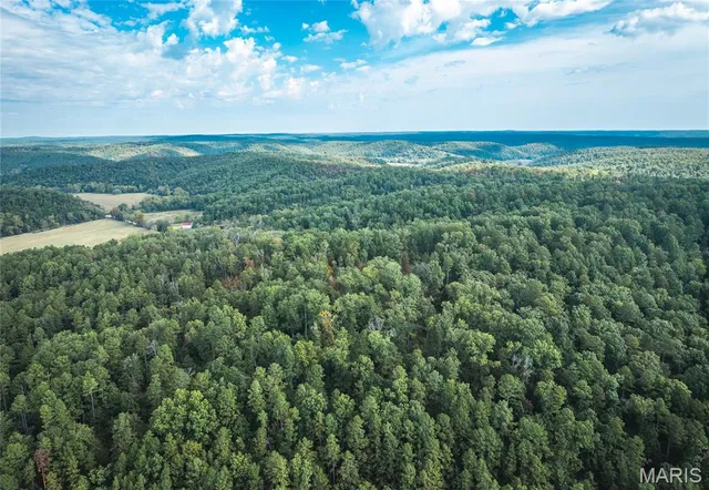 $1,350,000 | 10110 Ashley Creek Road, Salem, MO 65560