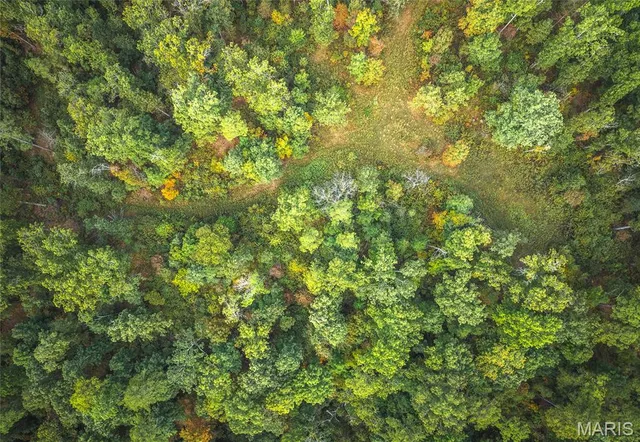 $1,350,000 | 10110 Ashley Creek Road, Salem, MO 65560