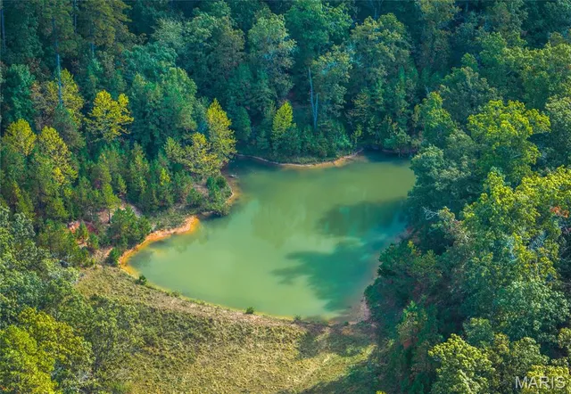 $1,350,000 | 10110 Ashley Creek Road, Salem, MO 65560