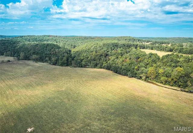 $1,350,000 | 10110 Ashley Creek Road, Salem, MO 65560