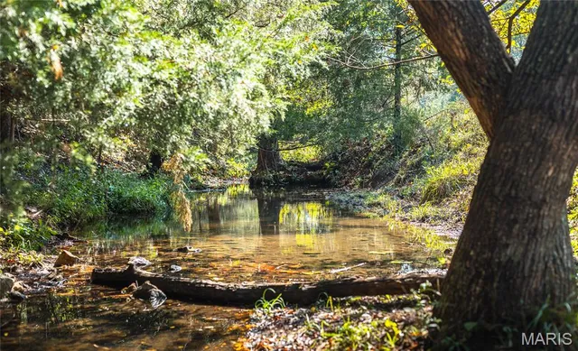 $1,350,000 | 10110 Ashley Creek Road, Salem, MO 65560