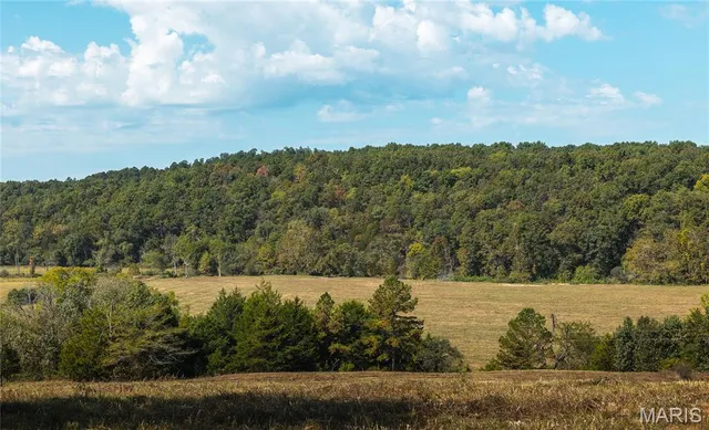 $1,350,000 | 10110 Ashley Creek Road, Salem, MO 65560