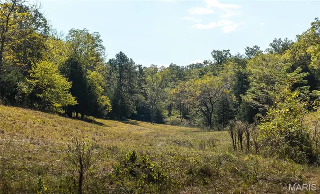 $1,350,000 | 10110 Ashley Creek Road, Salem, MO 65560