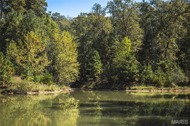 $1,350,000 | 10110 Ashley Creek Road, Salem, MO 65560