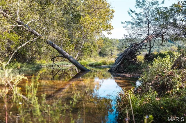 $1,350,000 | 10110 Ashley Creek Road, Salem, MO 65560