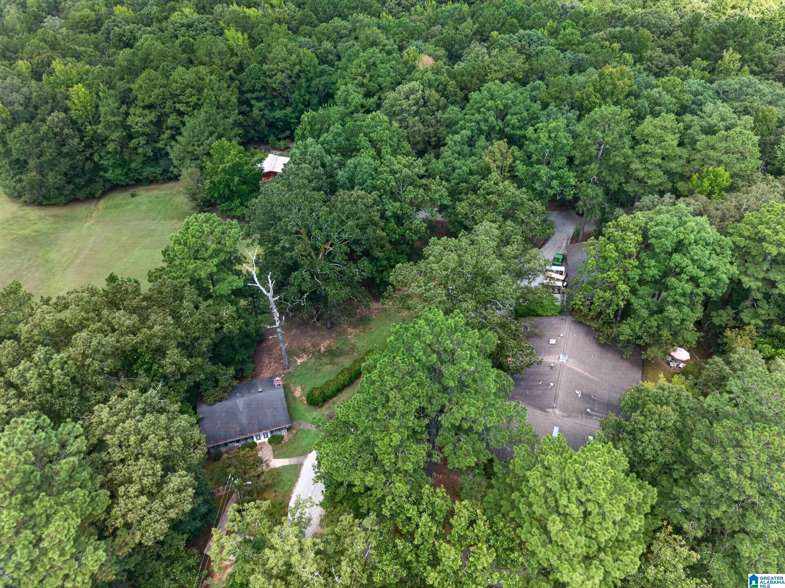 860 Sweet Apple Road Pell City, AL 35128 - Photo 54 of 68 Gallery Image 54