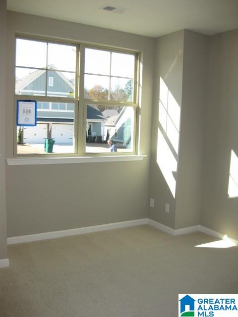 125 Sweetwater Way Springville, AL 35146 - Photo 19 of 21