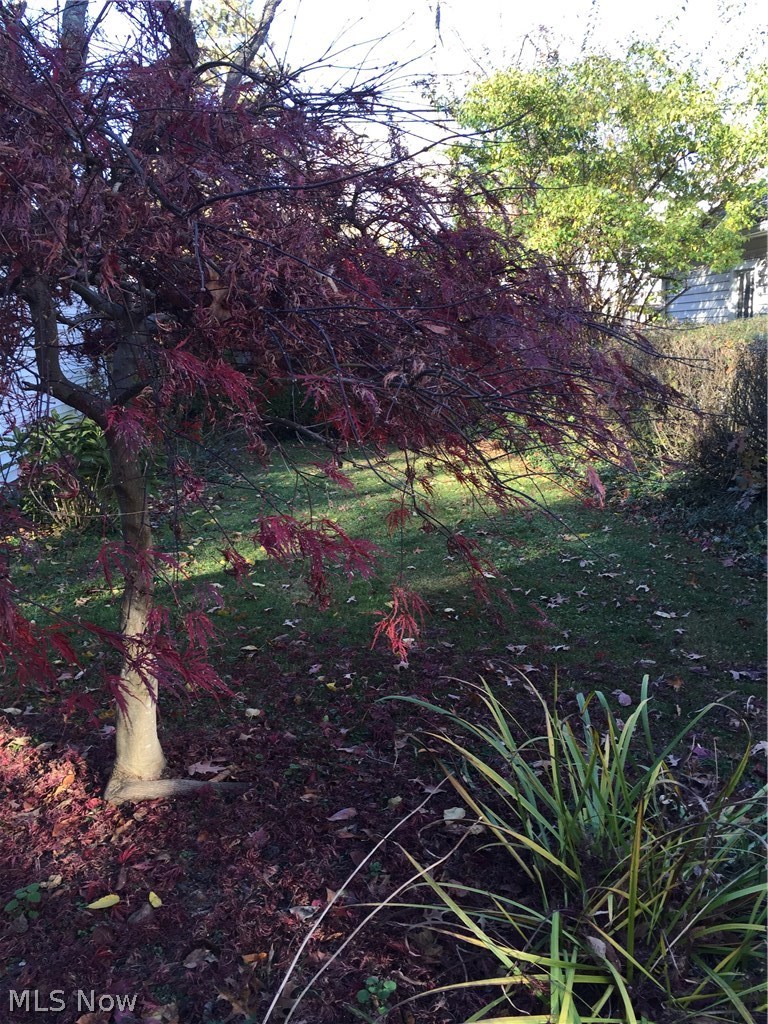 473 Malvern Road Akron, OH 44303 - Photo 31 of 35 Peaceful Backyard