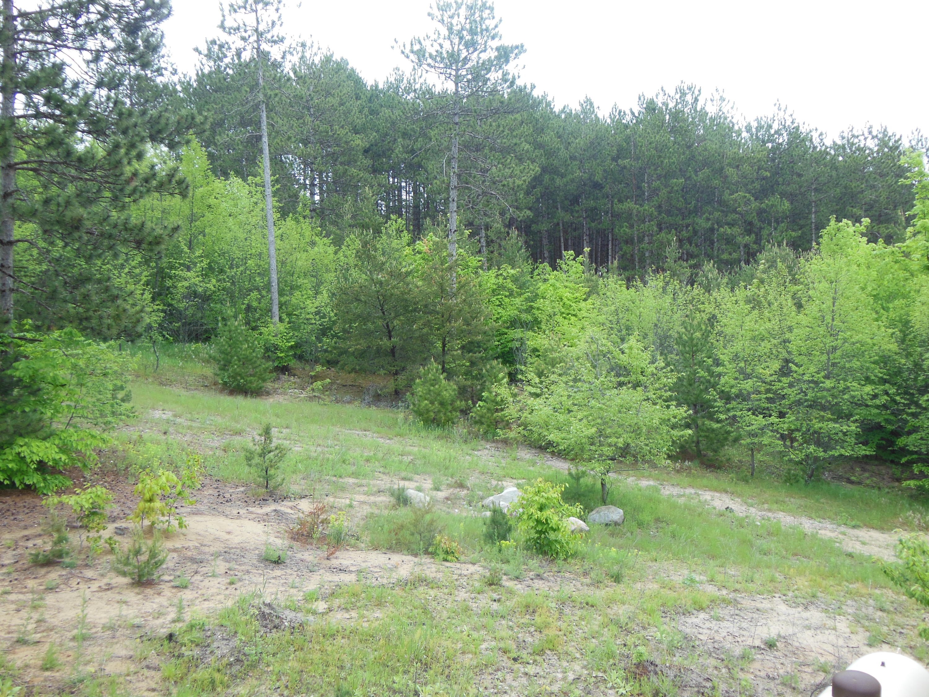 812 West Huffman Lake Road Vanderbilt, MI 49795 - Photo 3 of 30 Gallery Image 3