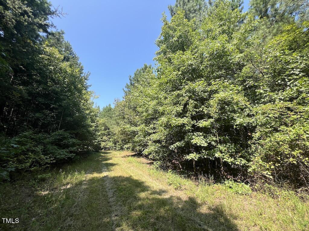 1 Virgilina Road Roxboro, NC 27574 - Photo 49 of 63 49