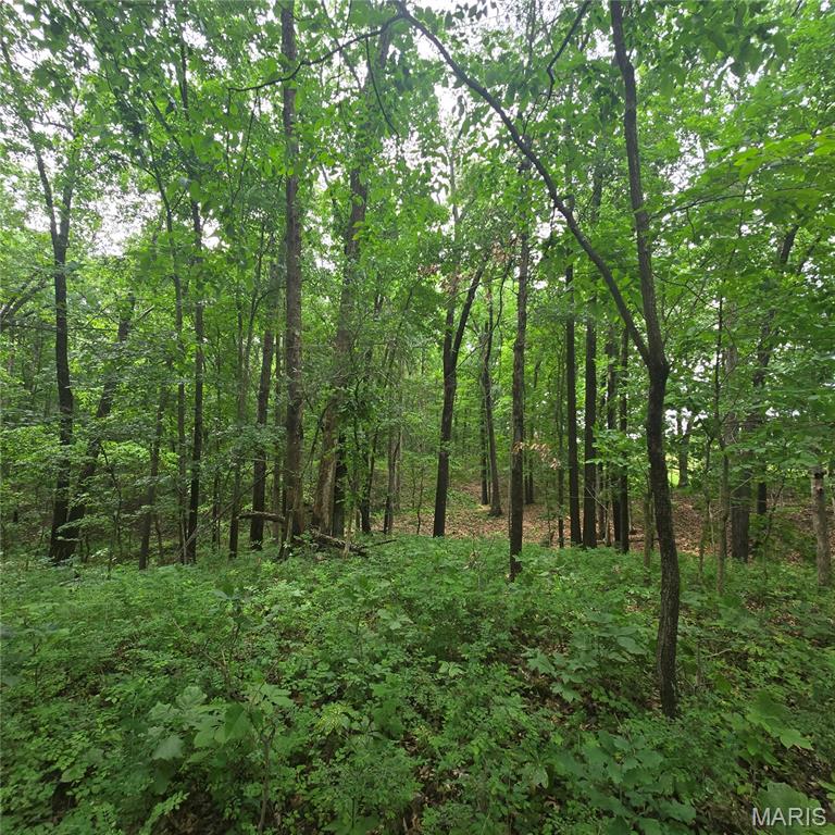 14809 East Knox Road Mount Vernon, IL 62864 - Photo 17 of 31
