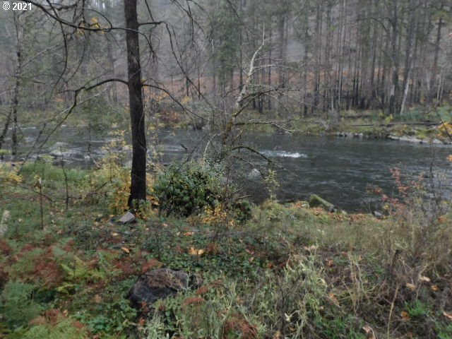 47195 Goodpasture Road Vida, OR 97488 - Photo 2 of 10 Gallery Image 2