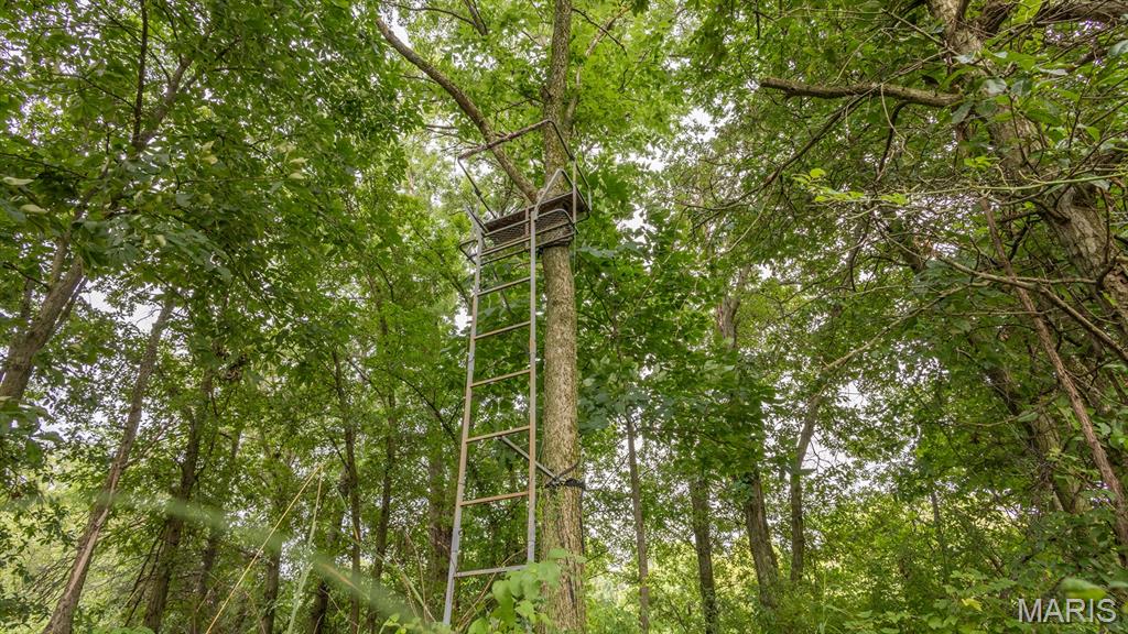 0 Sand Creek Bottom Road Greentop, MO 63546 - Photo 11 of 49