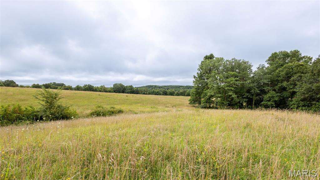 0 Sand Creek Bottom Road Greentop, MO 63546 - Photo 12 of 49