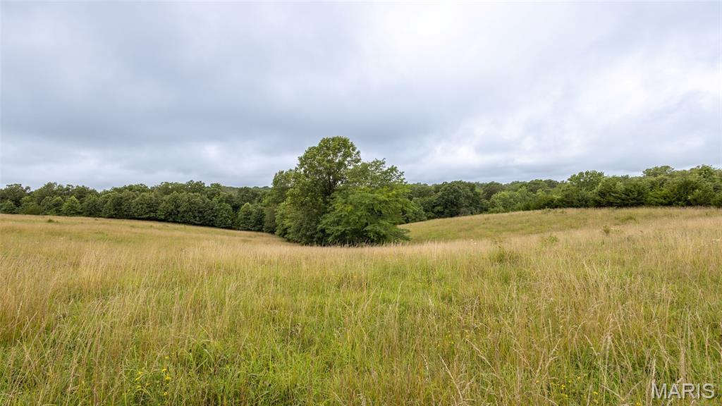 0 Sand Creek Bottom Road Greentop, MO 63546 - Photo 16 of 49