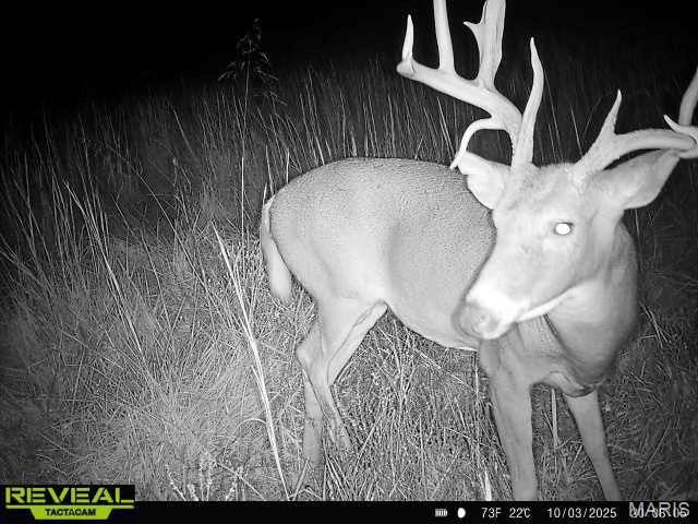 0 Sand Creek Bottom Road Greentop, MO 63546 - Photo 2 of 49