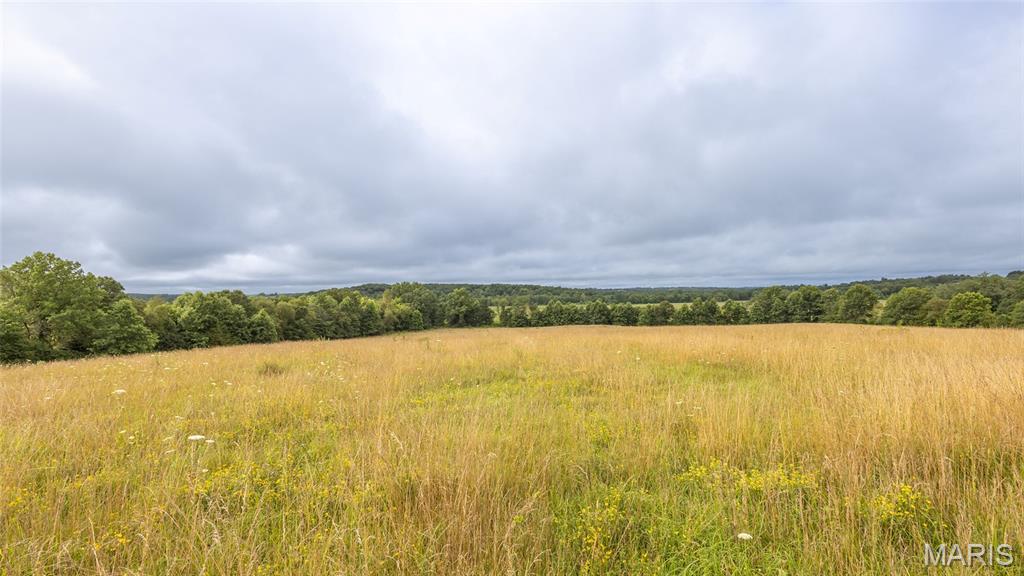 0 Sand Creek Bottom Road Greentop, MO 63546 - Photo 24 of 49