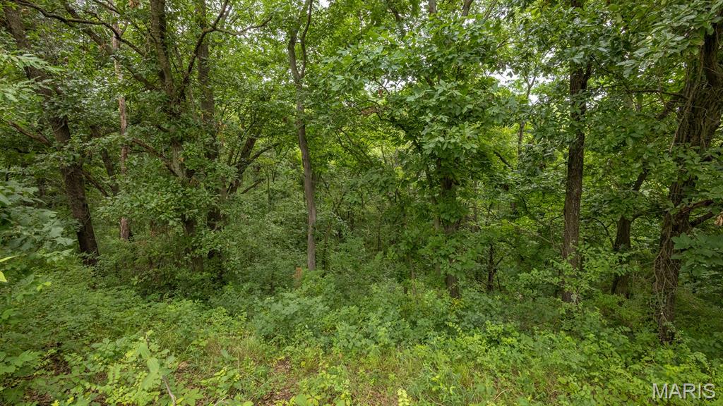 0 Sand Creek Bottom Road Greentop, MO 63546 - Photo 29 of 49