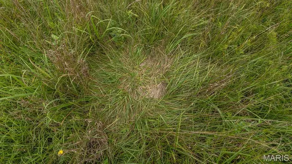 $479,900 | 0 Sand Creek Bottom Road, Greentop, MO 63546