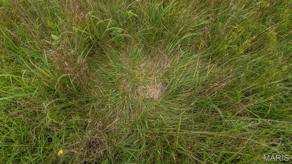 0 Sand Creek Bottom Road Greentop, MO 63546 - Photo 31 of 49