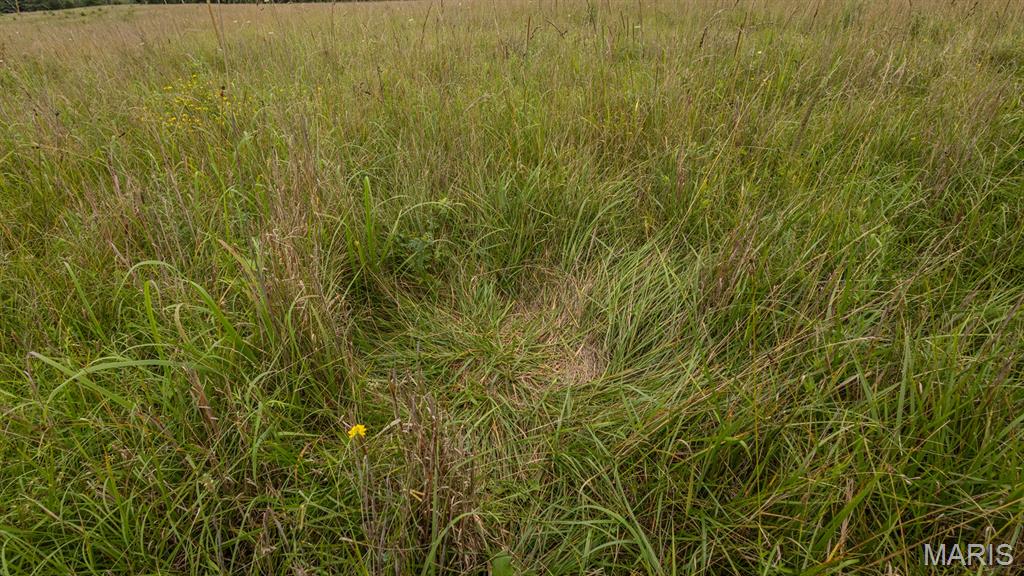 0 Sand Creek Bottom Road Greentop, MO 63546 - Photo 32 of 49