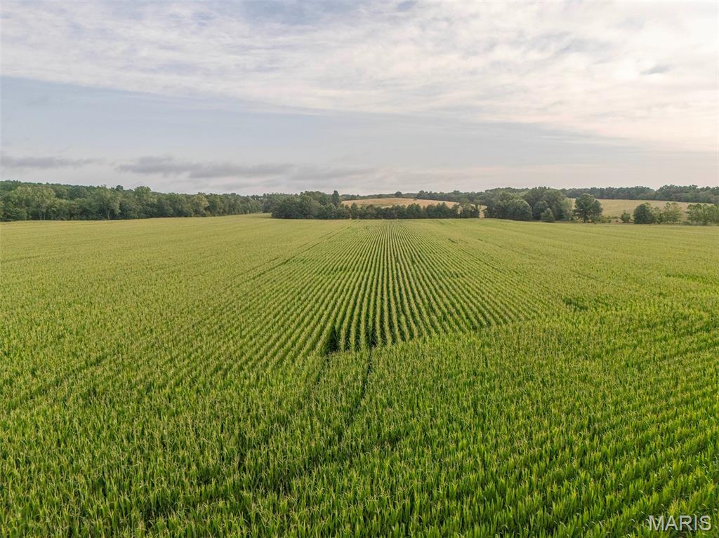 0 Sand Creek Bottom Road Greentop, MO 63546 - Photo 45 of 49