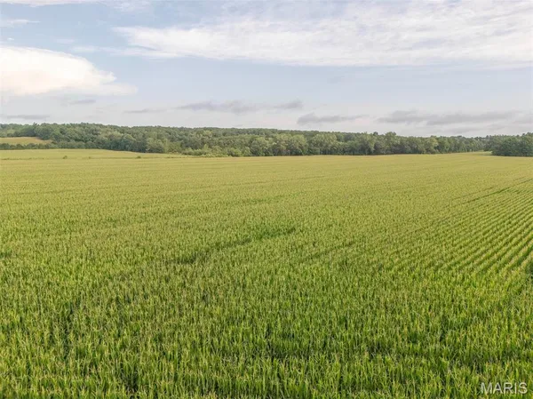 $479,900 | 0 Sand Creek Bottom Road, Greentop, MO 63546