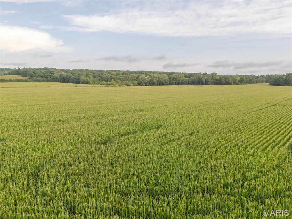 0 Sand Creek Bottom Road Greentop, MO 63546 - Photo 46 of 49