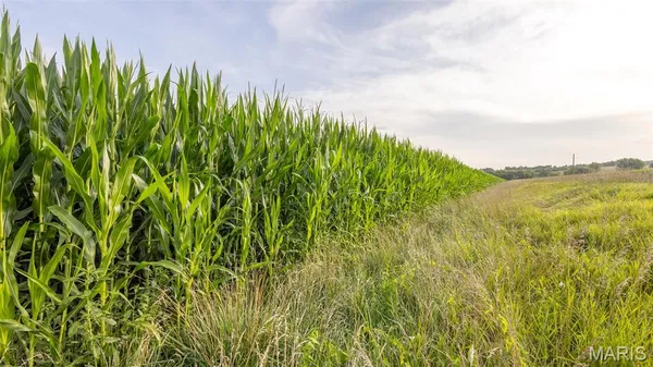 $479,900 | 0 Sand Creek Bottom Road, Greentop, MO 63546