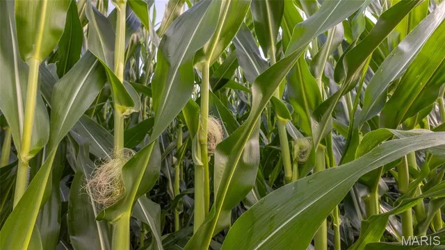 $479,900 | 0 Sand Creek Bottom Road, Greentop, MO 63546