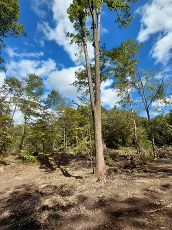 $350,000 | 9437 East U V Avenue, Vicksburg, MI 49097